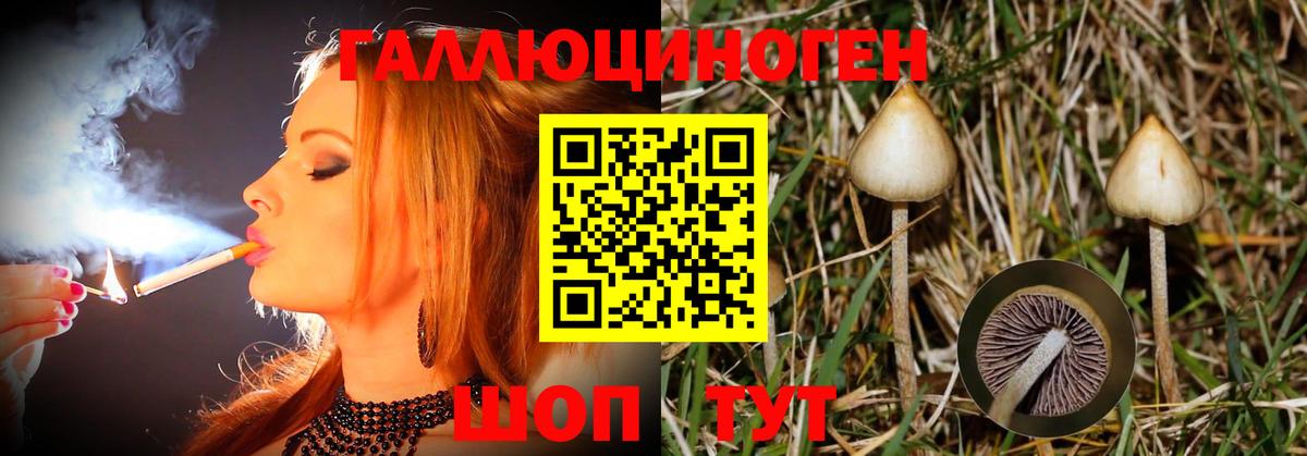Ишим  Галлюциногенные грибы Psilocybine cubensis  Псилоцибиновые грибы Cubensis  Вход с VPN 